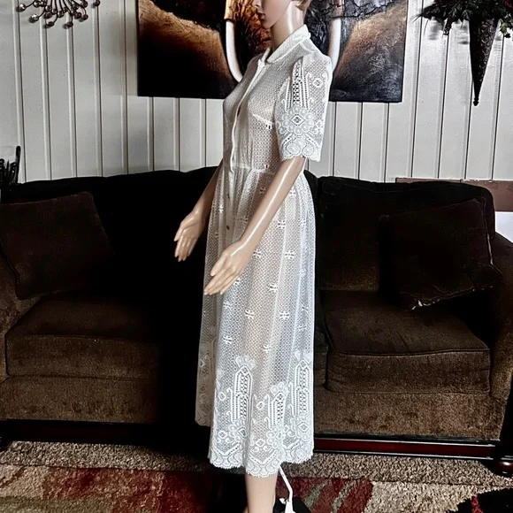 Vintage (1960’s) USA ~ Size 6 ~ Net Floral Lace Edwardian Embroidery Sexy Dress - Picture 14 of 16